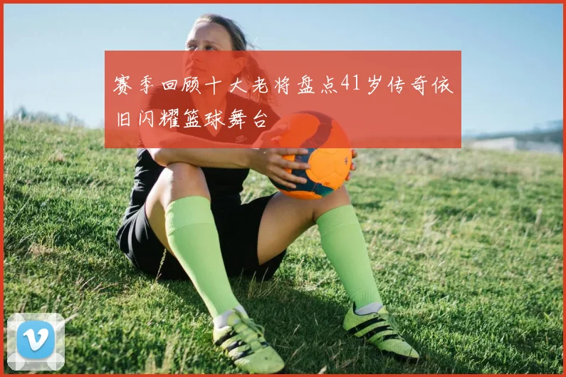 赛季回顾十大老将盘点41岁传奇依旧闪耀篮球舞台