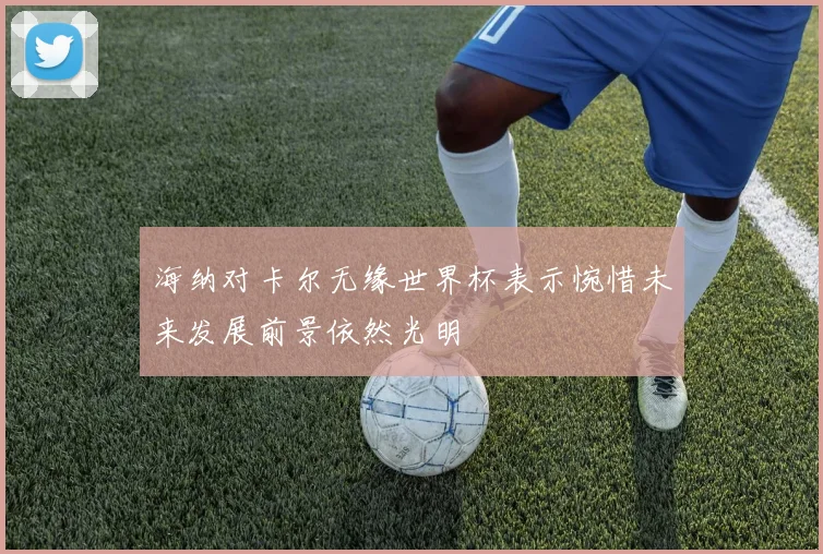 海纳对卡尔无缘世界杯表示惋惜未来发展前景依然光明